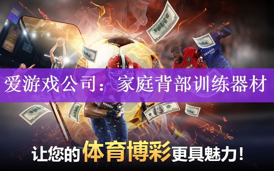 爱游戏公司：家庭背部训练器材