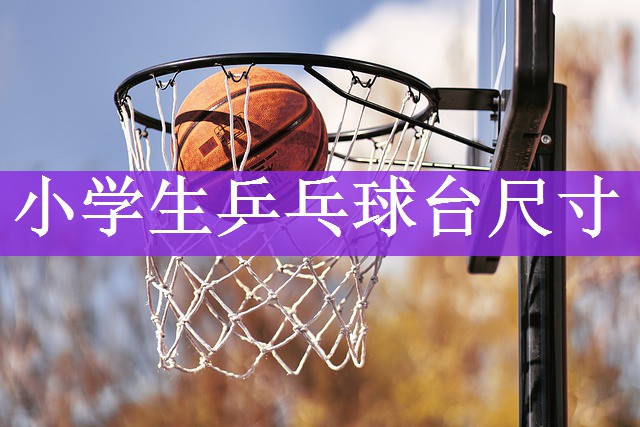 <strong>小学生乒乓球台尺寸</strong>